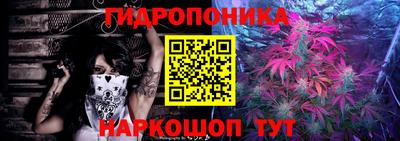стафф Славгород